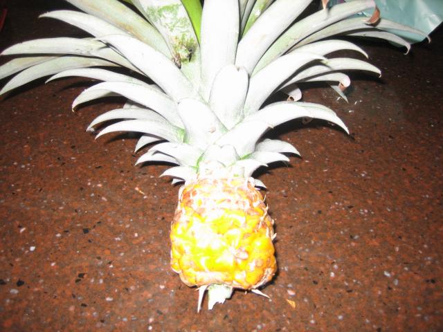 My Own California Pineapple